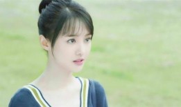 郑爽外网爆料事件视频,真相与争议交织